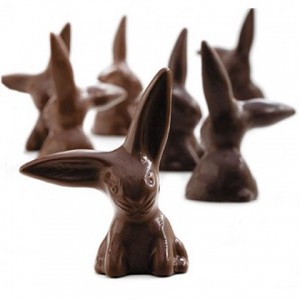 Yummy Chocolate bunnies